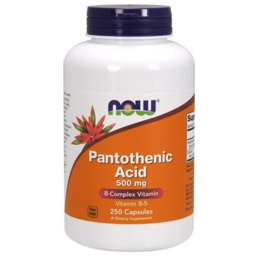 NOW Foods - Pantothenic Acid 500mg - 250 caps