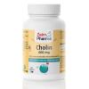 Zein Pharma - Choline