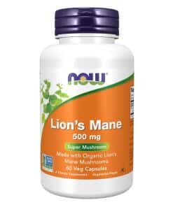 Lion's Mane Organic