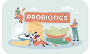 De bedste naturlige kilder til probiotika i din kost
